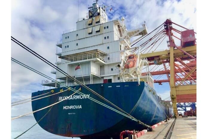 Containerschiff Buxharmony im Dock 